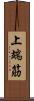 上端筋 Scroll