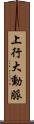 上行大動脈 Scroll