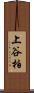 上谷柏 Scroll
