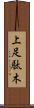 上足駄木 Scroll