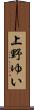 上野ゆい Scroll