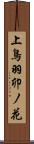 上鳥羽卯ノ花 Scroll