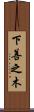 下善之木 Scroll