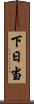 下日当 Scroll