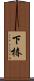 下椿 Scroll