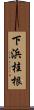 下浜桂根 Scroll