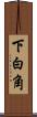 下白角 Scroll