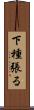 下種張る Scroll