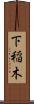下稲木 Scroll