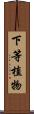 下等植物 Scroll