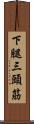 下腿三頭筋 Scroll