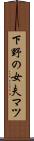 下野の女夫マツ Scroll