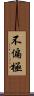 不偏極 Scroll