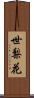 世梨花 Scroll