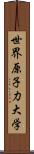 世界原子力大学 Scroll