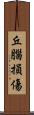 丘腦損傷 Scroll
