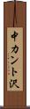 中カント沢 Scroll