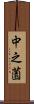 中之薗 Scroll