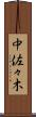 中佐々木 Scroll