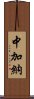 中加納 Scroll