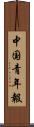 中国青年報 Scroll