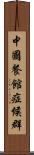 中國餐館症候群 Scroll