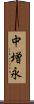 中増永 Scroll