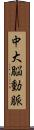 中大脳動脈 Scroll