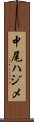 中尾ハジメ Scroll