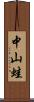 中山蛙 Scroll