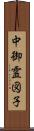 中御霊図子 Scroll