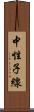 中性子線 Scroll