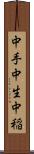 中手 Scroll