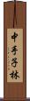 中手子林 Scroll