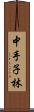 中手子林 Scroll