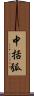 中括弧 Scroll