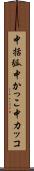中括弧 Scroll