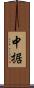 中据 Scroll