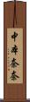 中本奈奈 Scroll