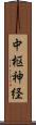 中枢神経 Scroll