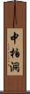 中柏洞 Scroll
