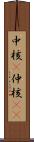 中核(P) Scroll