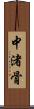 中渚骨 Scroll