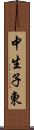 中生子東 Scroll