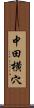 中田横穴 Scroll