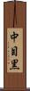 中目黒 Scroll