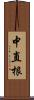 中直根 Scroll