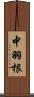 中羽根 Scroll