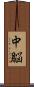 中脳 Scroll