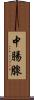 中腸腺 Scroll